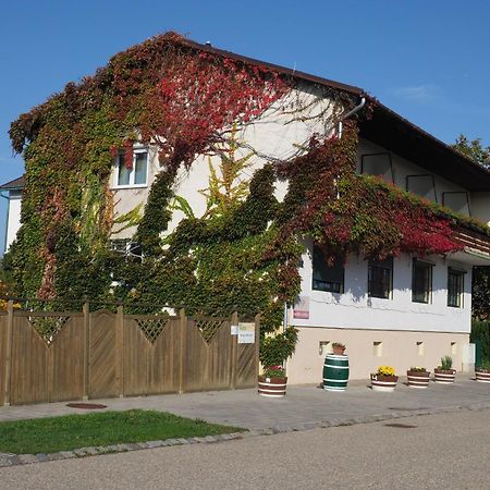 Wein & Landhaus Willi Opitz 伊尔米茨 外观 照片