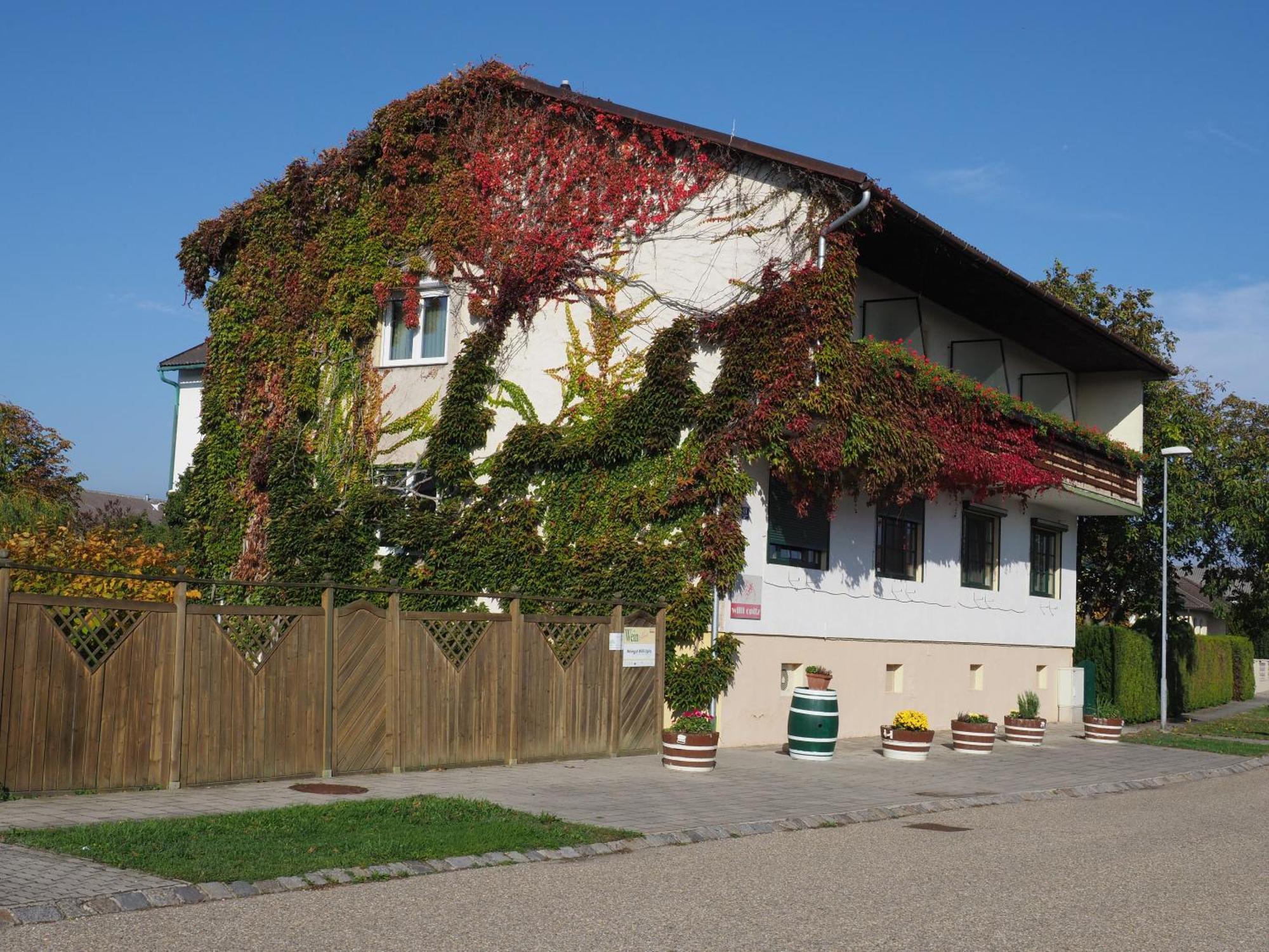 Wein & Landhaus Willi Opitz 伊尔米茨 外观 照片